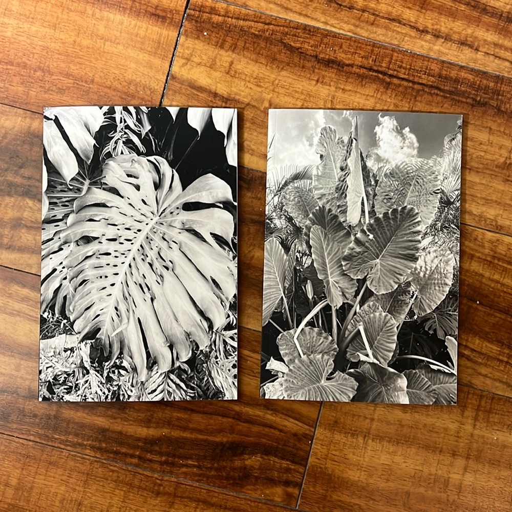Two 100 page blank lined journals/notebooks for sale by Jotelaje Journals!